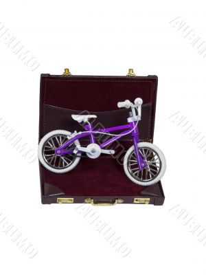 Bicycle in a Briefcase