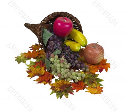 Cornucopia of Abundant Fruit