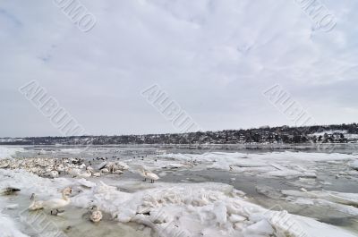 Ice on river