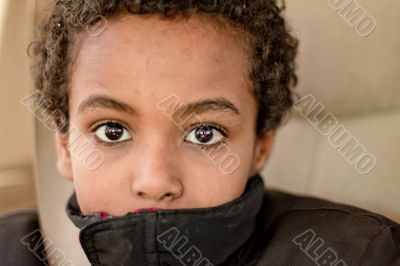 Buckle your seat belt and enjoy the ride.