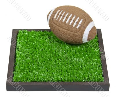 Football on the Grass