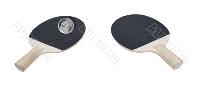 Ping Pong Paddles with a Globe for a Ball