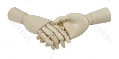 Shaking Hands for Greeting