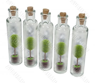 Nature Preserve Jars