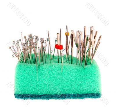  needles in sponge