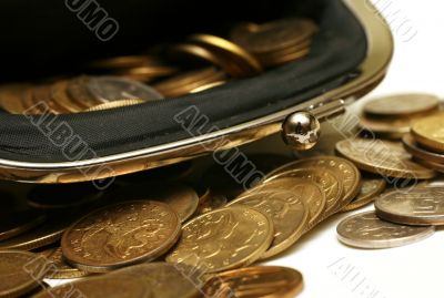 Purse with money
