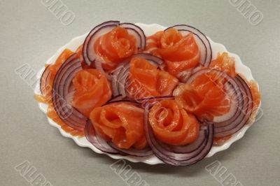 salmon 