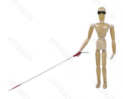 Visually Challenged Model