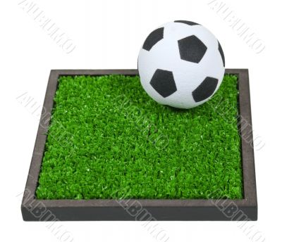 Soccer Ball on the Grass