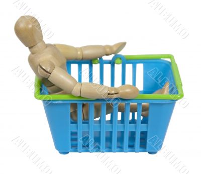 Sitting in a Shopping Basket