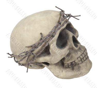 Skull Wearing Barbed Wire Crown