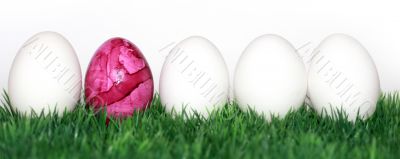 pink egg