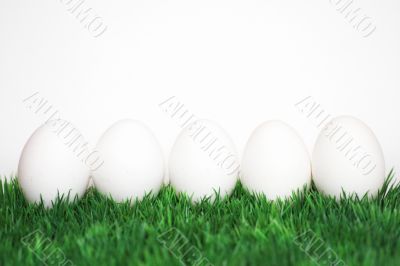 white eggs