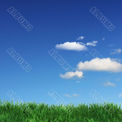 Beautiful weather 