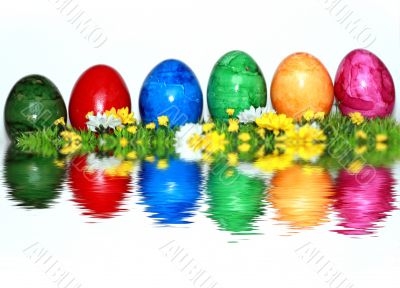 Colorful mix of eggs 