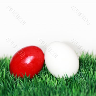 Red and white egg 
