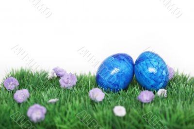 Two blue eggs 