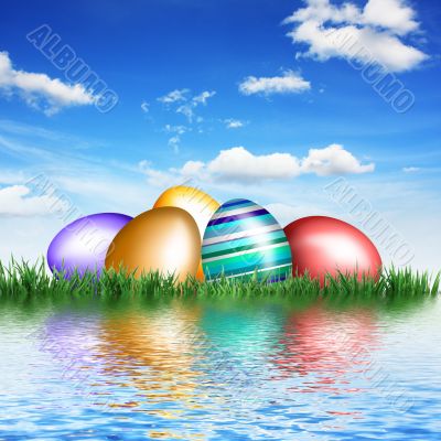 Eggs in grass on water