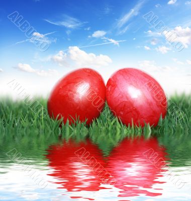 Red eggs in the grass 