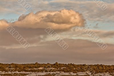 Saskatchewan Landscape