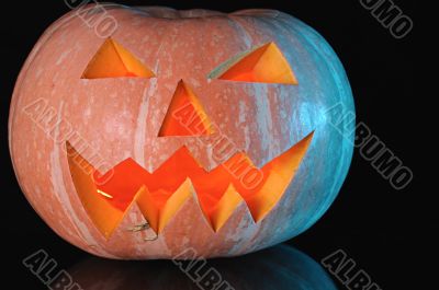 pumpkin halloween