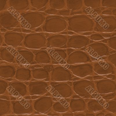 Brown crocodile leather texture 