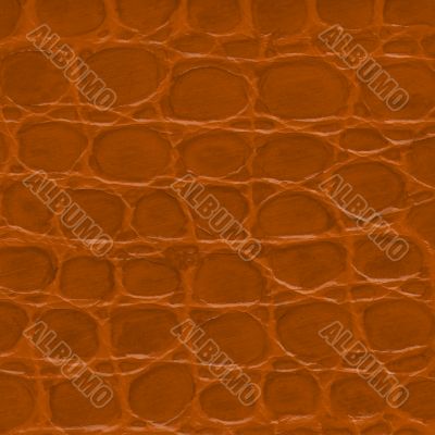 Brown crocodile leather texture 
