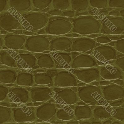 Green crocodile leather texture 
