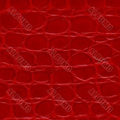 Red crocodile leather texture 