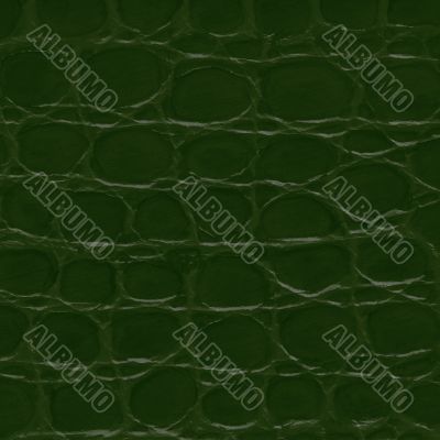 Green crocodile leather texture 