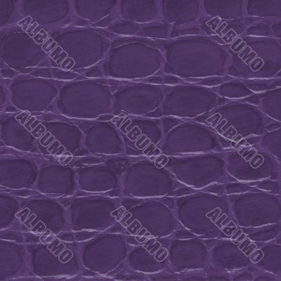 Purple crocodile leather texture 