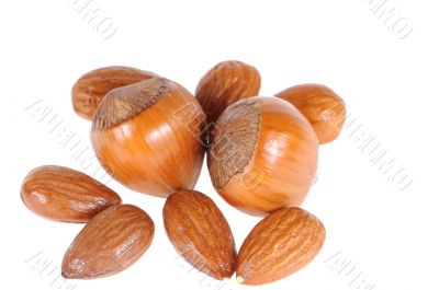hazelnuts