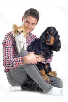 cocker, chihuahua and man