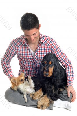cocker, chihuahua and man