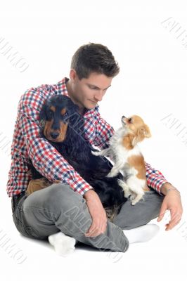 cocker, chihuahua and man