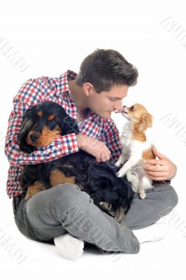english cocker, chihuahua and man
