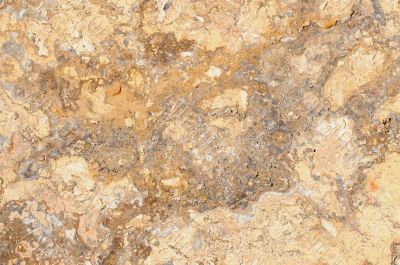 Brown marble texture background 