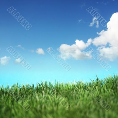 beautiful landscape