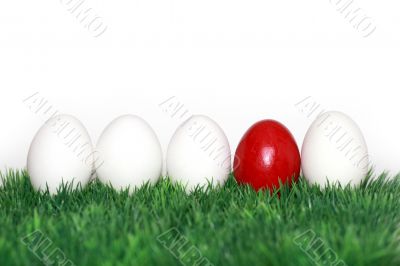 A red egg in between the white