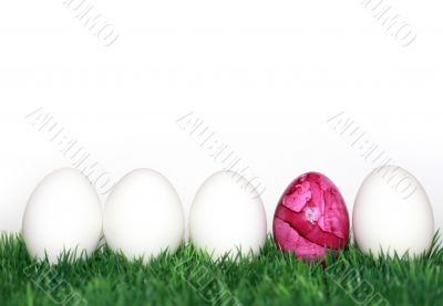 A pink egg between the white