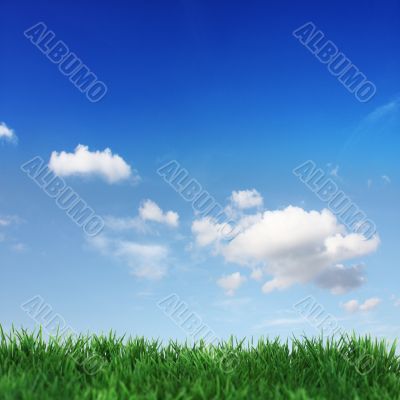green field and blue sky