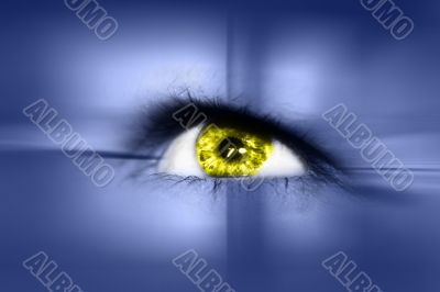 computer eye