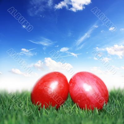 Easter eggs under the blue sky