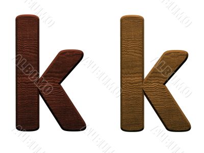 one letter of wooden alphabet.