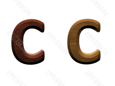 one letter of wooden alphabet.