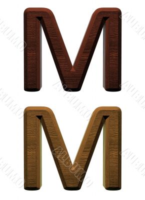 one letter of wooden alphabet.