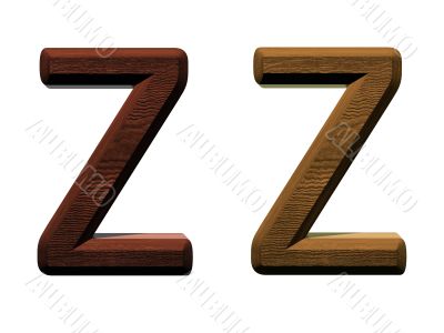 one letter of wooden alphabet. 