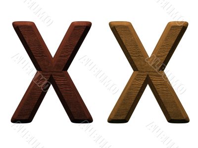 one letter of wooden alphabet.