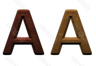 one letter of wooden alphabet. 
