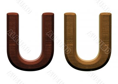 one letter of wooden alphabet.